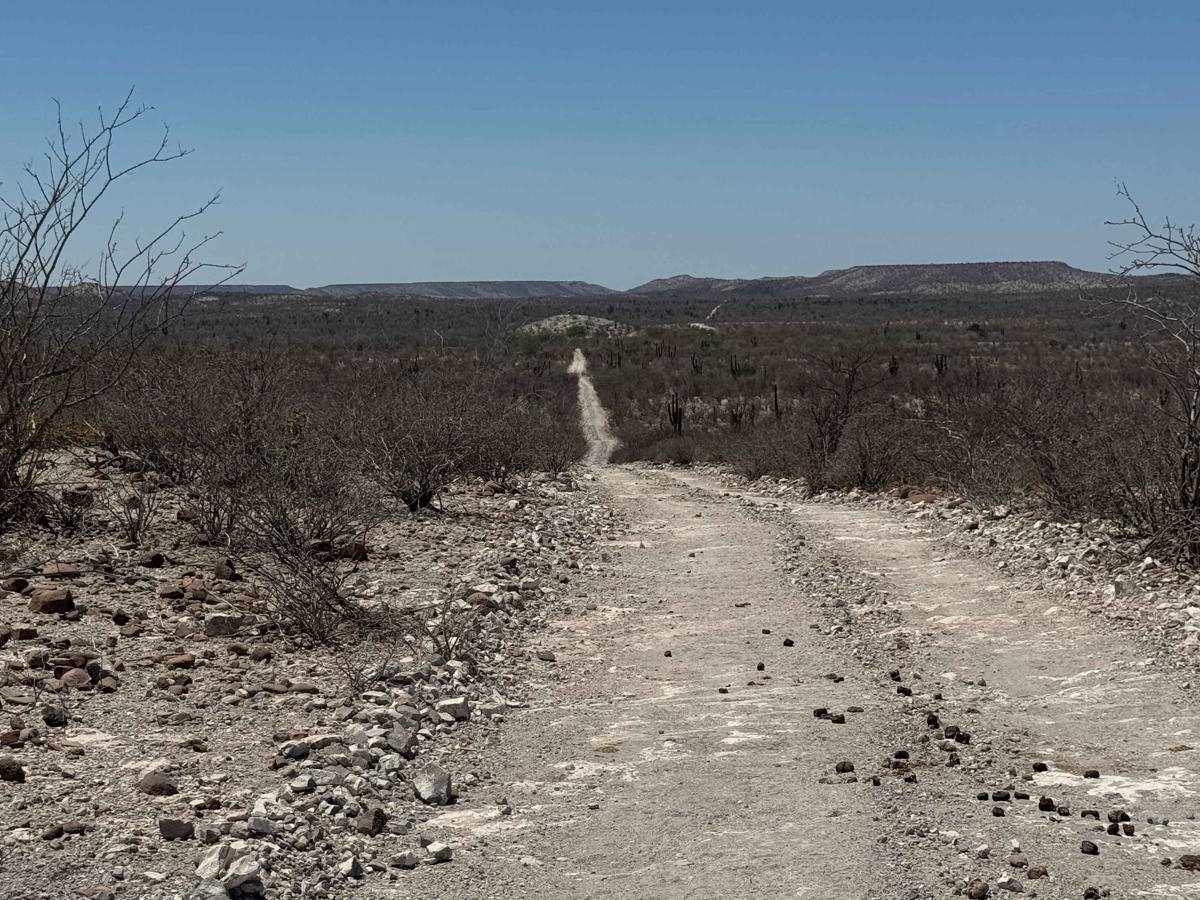 Rancho Golondrinas Crossover trail photo