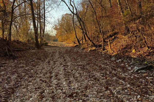 Main Creek