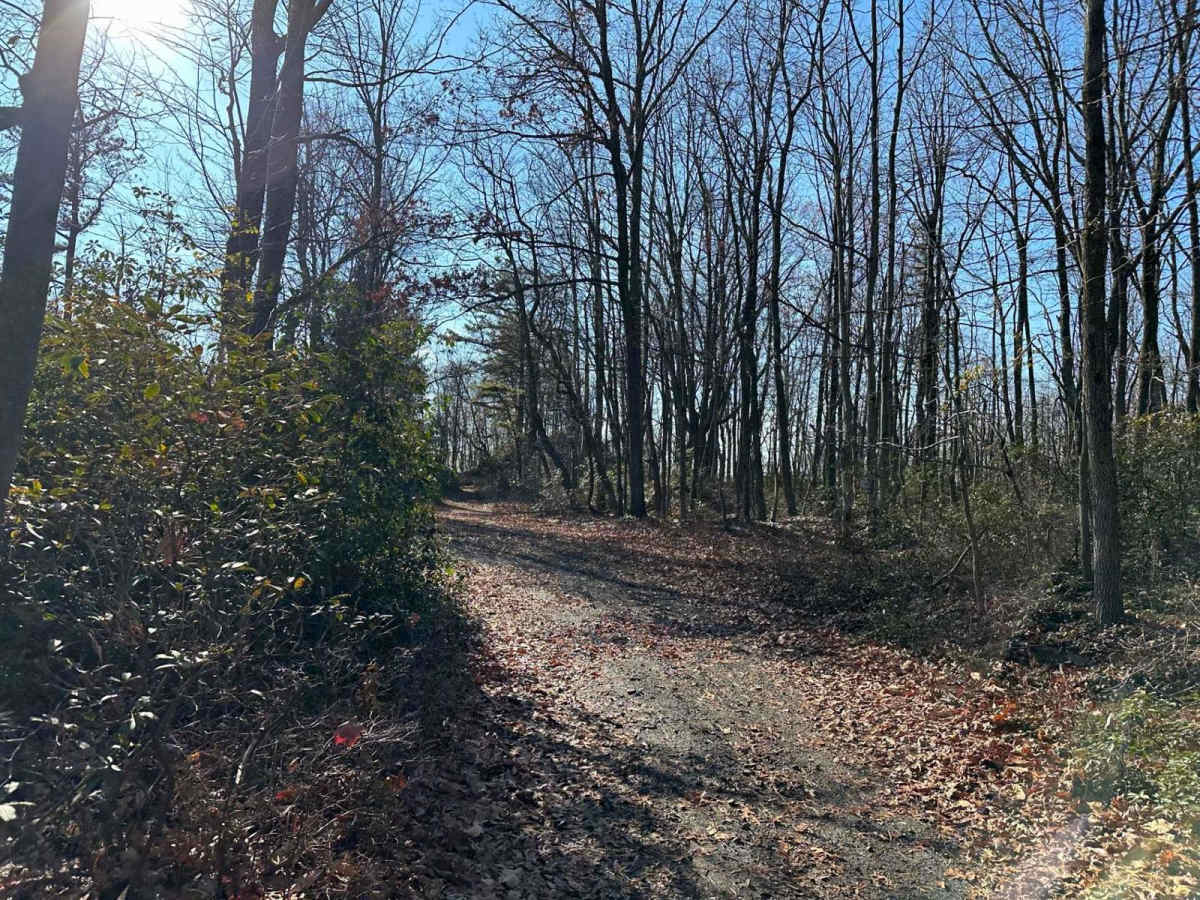 Darkwater 106 photo 4