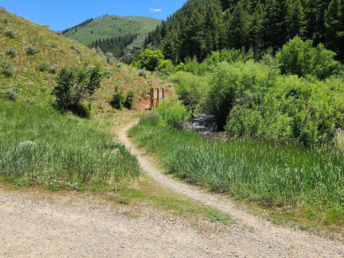 Steel Hollow trail photo