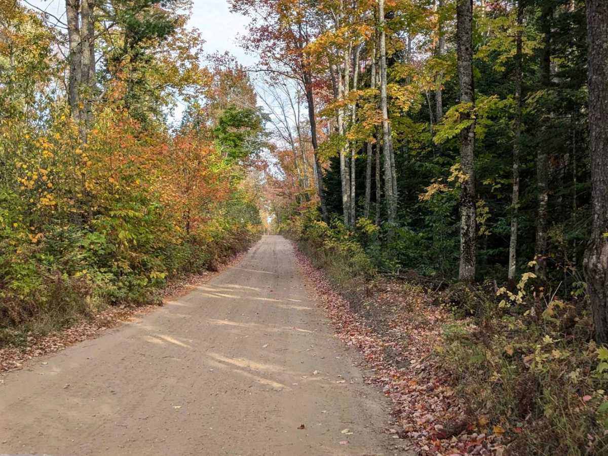 Camp 9 Road trail photo