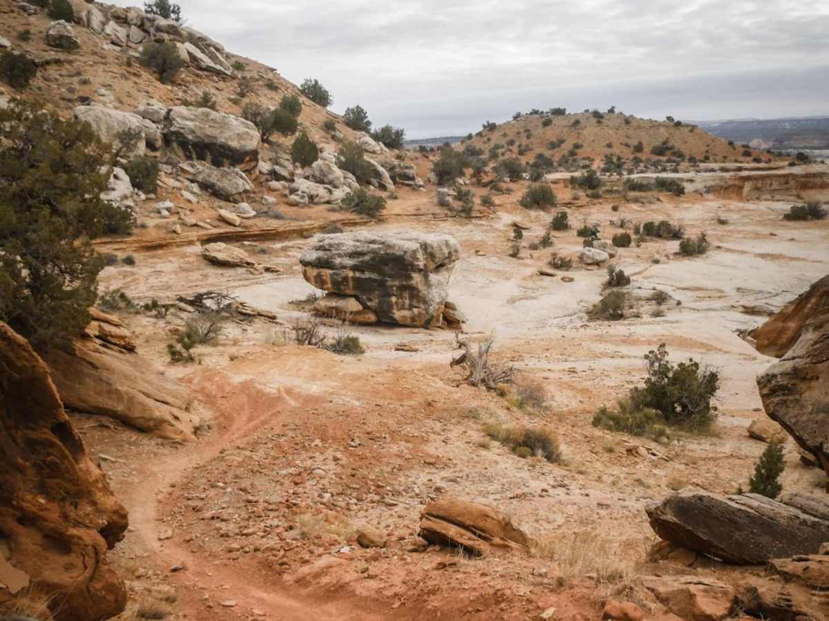 Western Rim photo 4