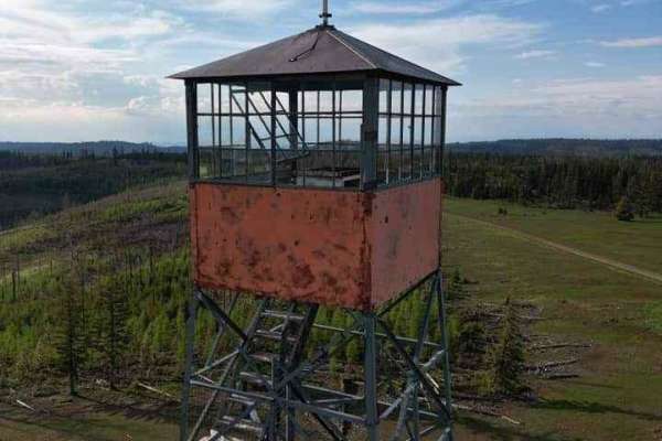 Pomeroy Grouse (National Forest Development RD 040) #1