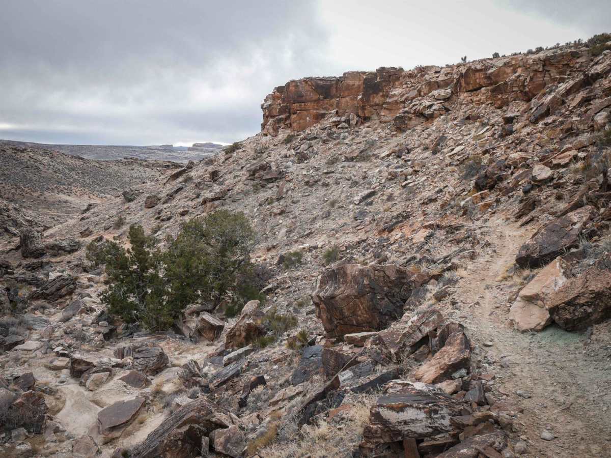 Cedar Mountain Canyon photo 5