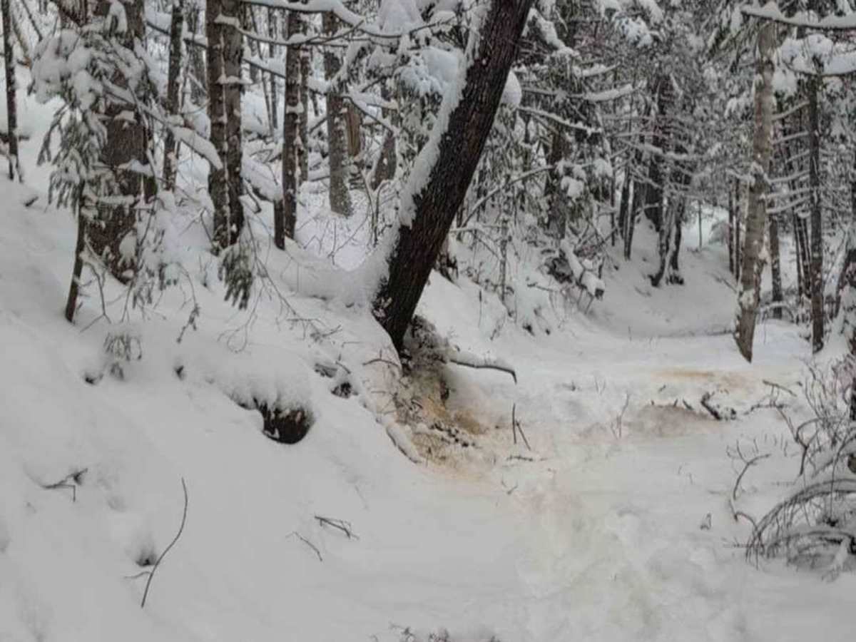 River Crossing Spur trail photo