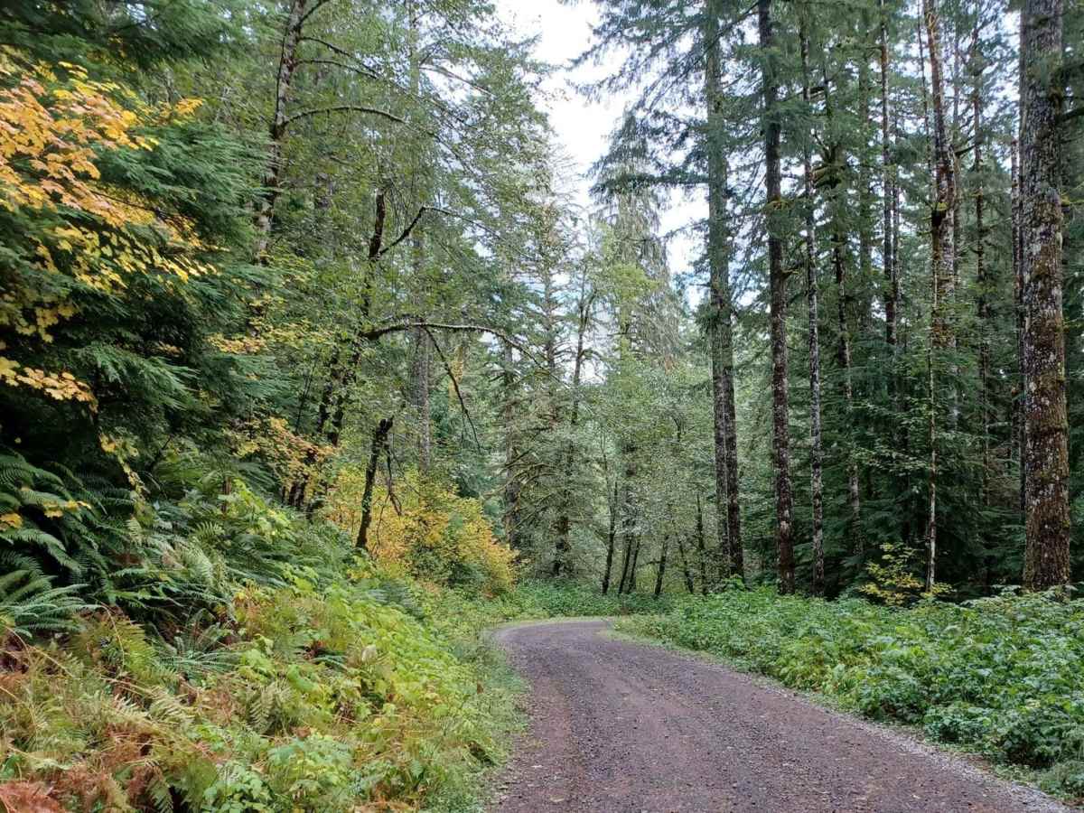 Little Hebo Access photo 5