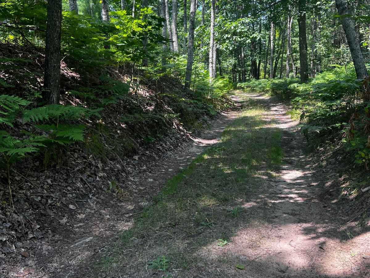 River Camp Trail photo 4