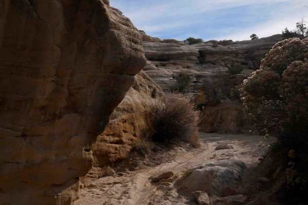 Skinny Canyon