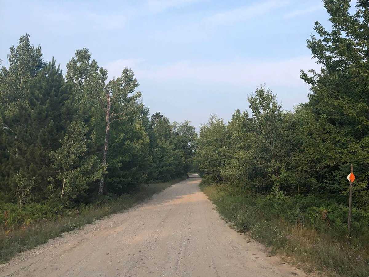 Aylsworth Road Part 3 trail photo