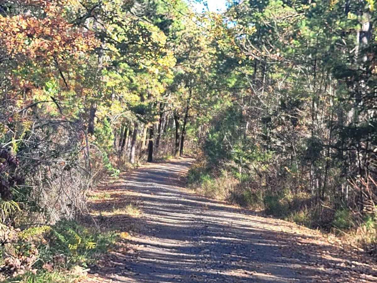 Champ Road to Nella Road trail photo
