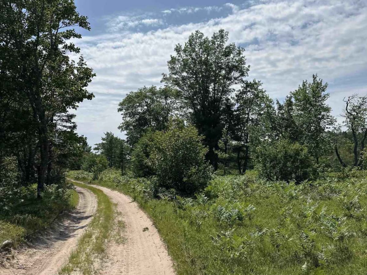 Fox River Trail trail photo