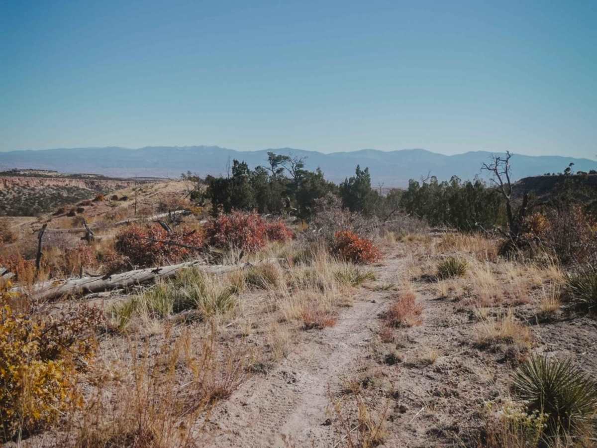 Beanfield Ridge photo 5