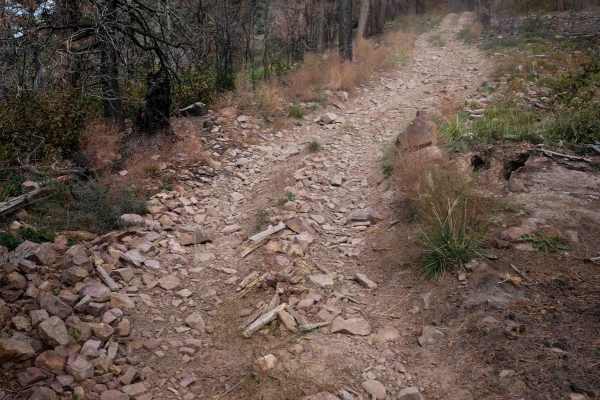 Trail Spring
