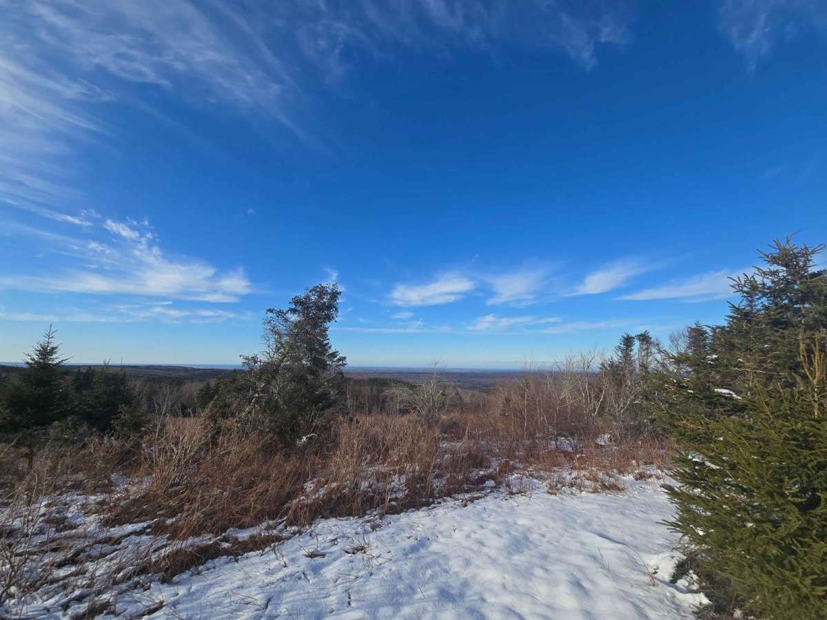Porter Road trail photo