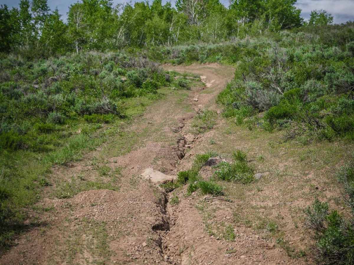Electric Spring ATV photo 3