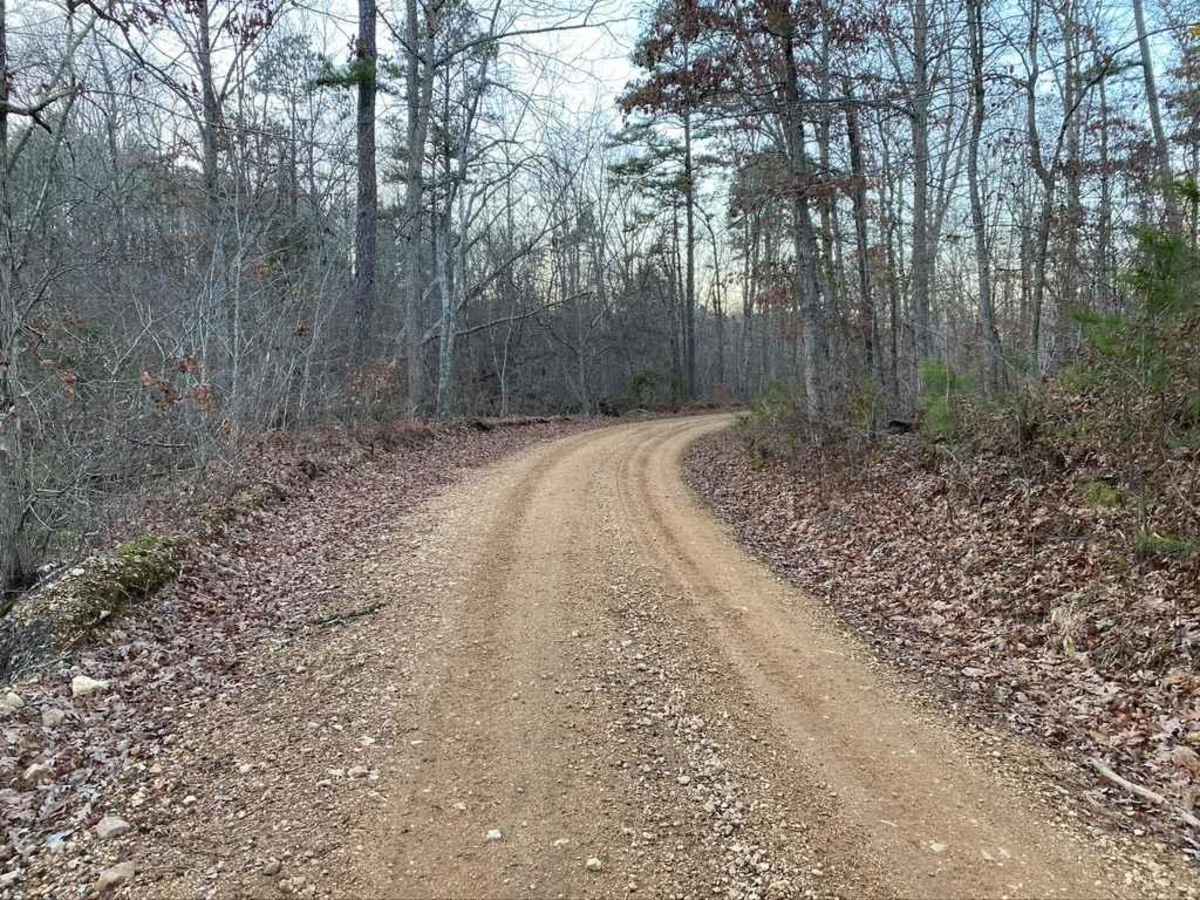 Bo-Co Road 872 photo 6
