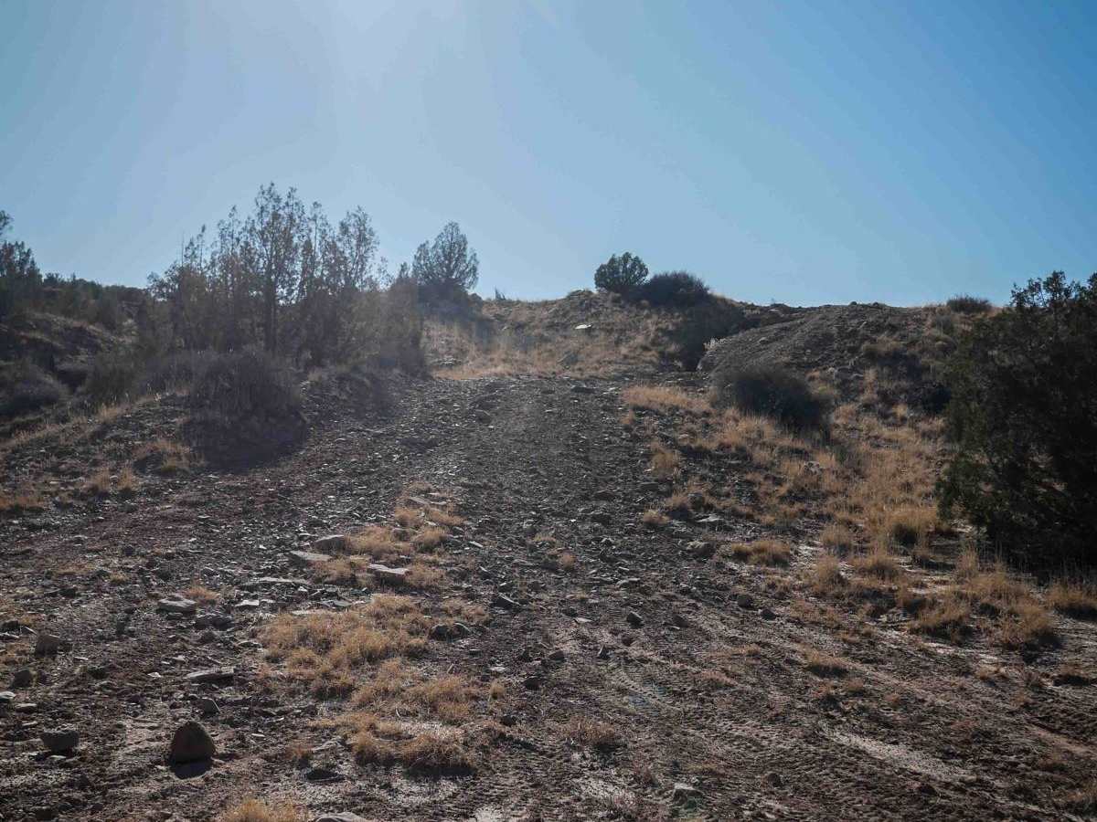 Woodside Ruins photo 2