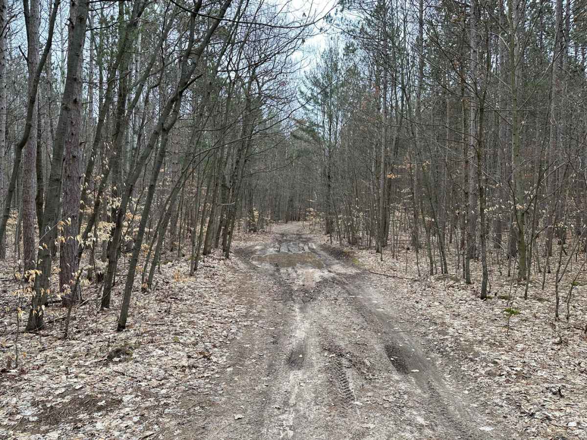 Mud Slide - FS 5011 photo 4