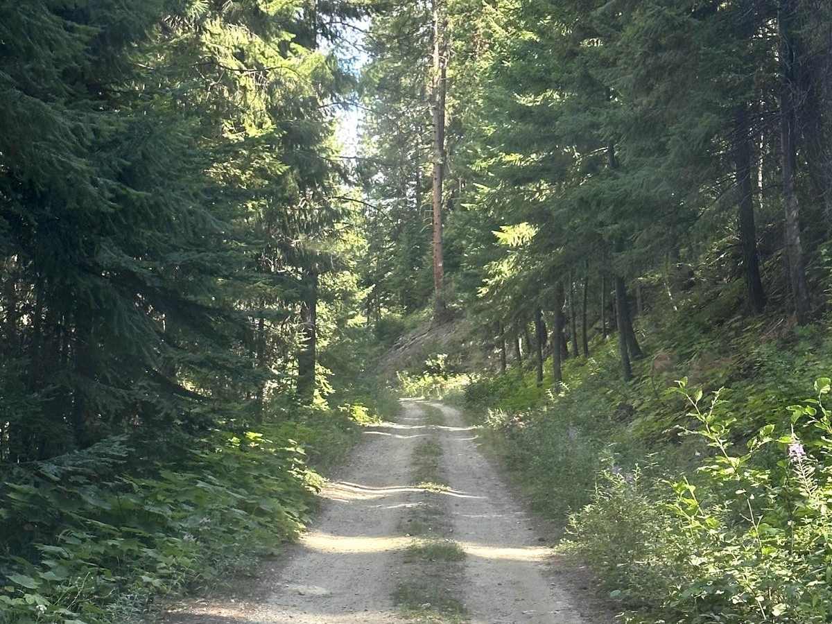 Deep Creek Loop photo 5