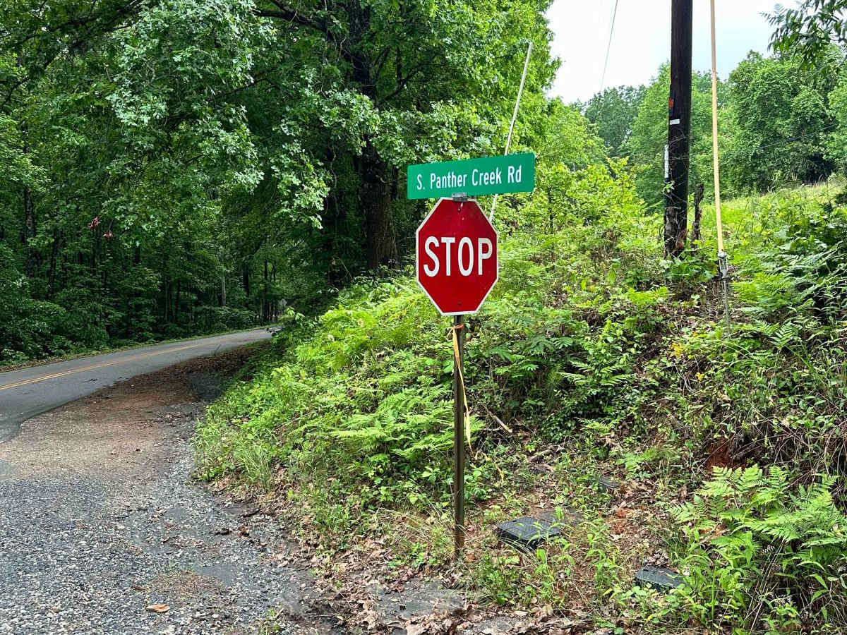South Panther Creek Road (FSR 220) trail photo