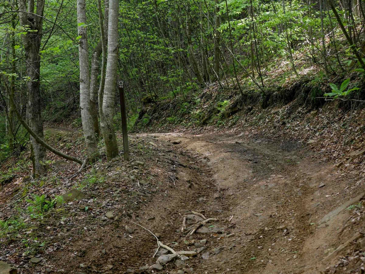 PC 40 trail photo