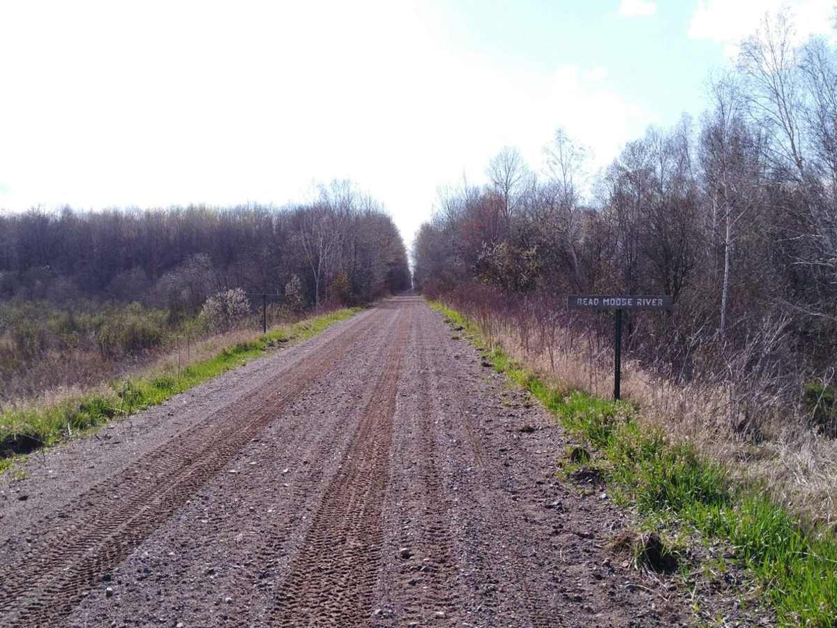 Lawler Loop Trails to Lawler photo 3
