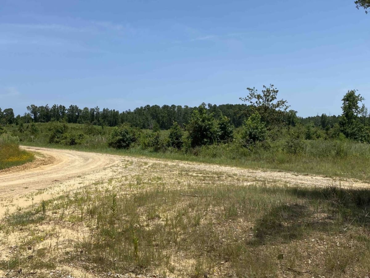 Jake Creel Road photo 3