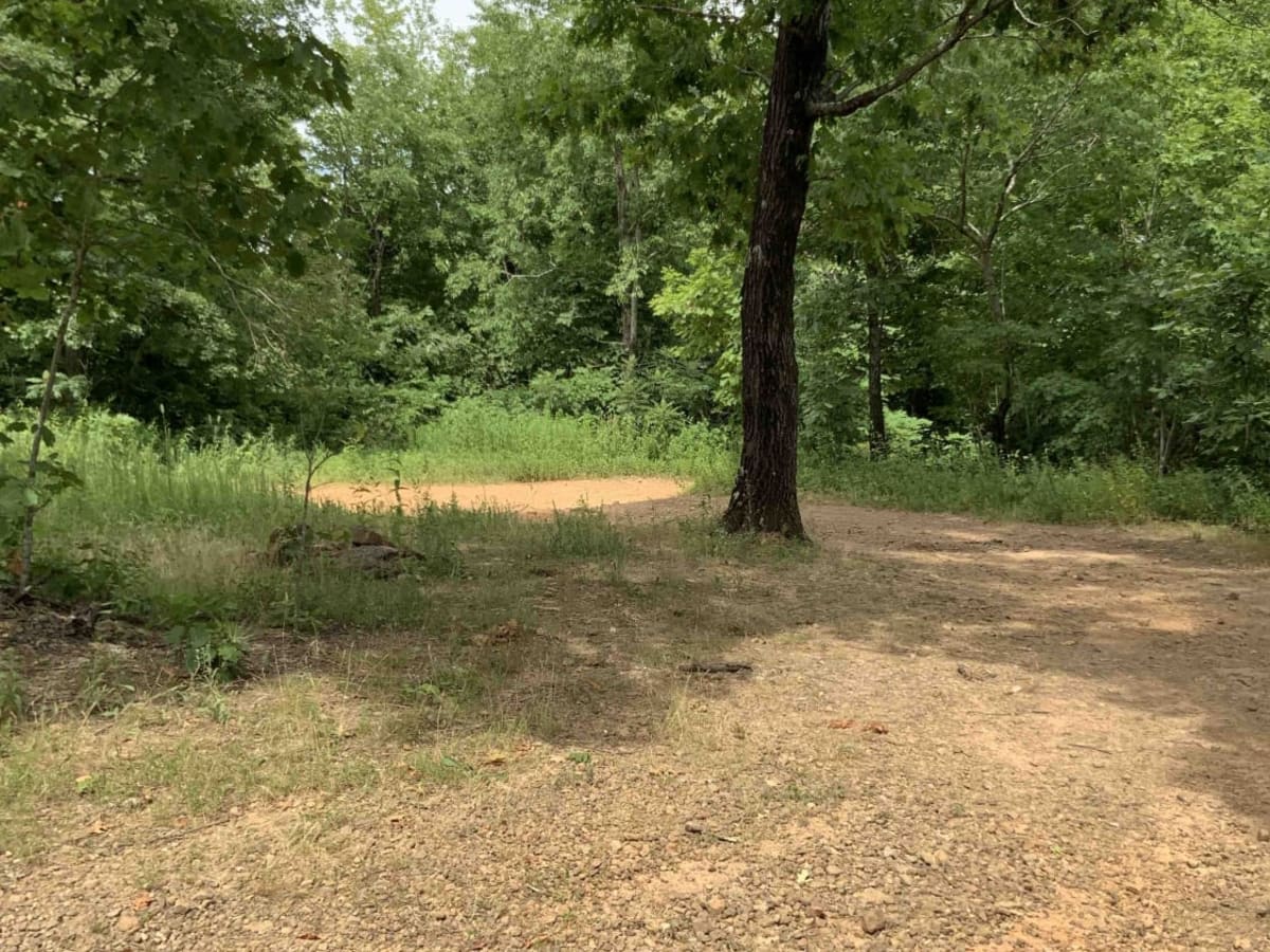 Deer Trap - 1776 photo 2