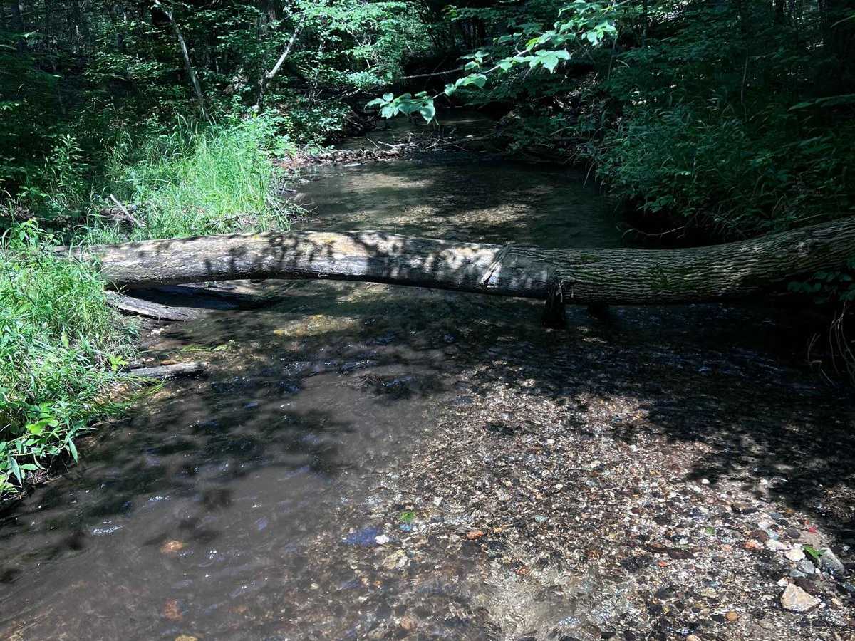 Heart Creek Trail photo 6