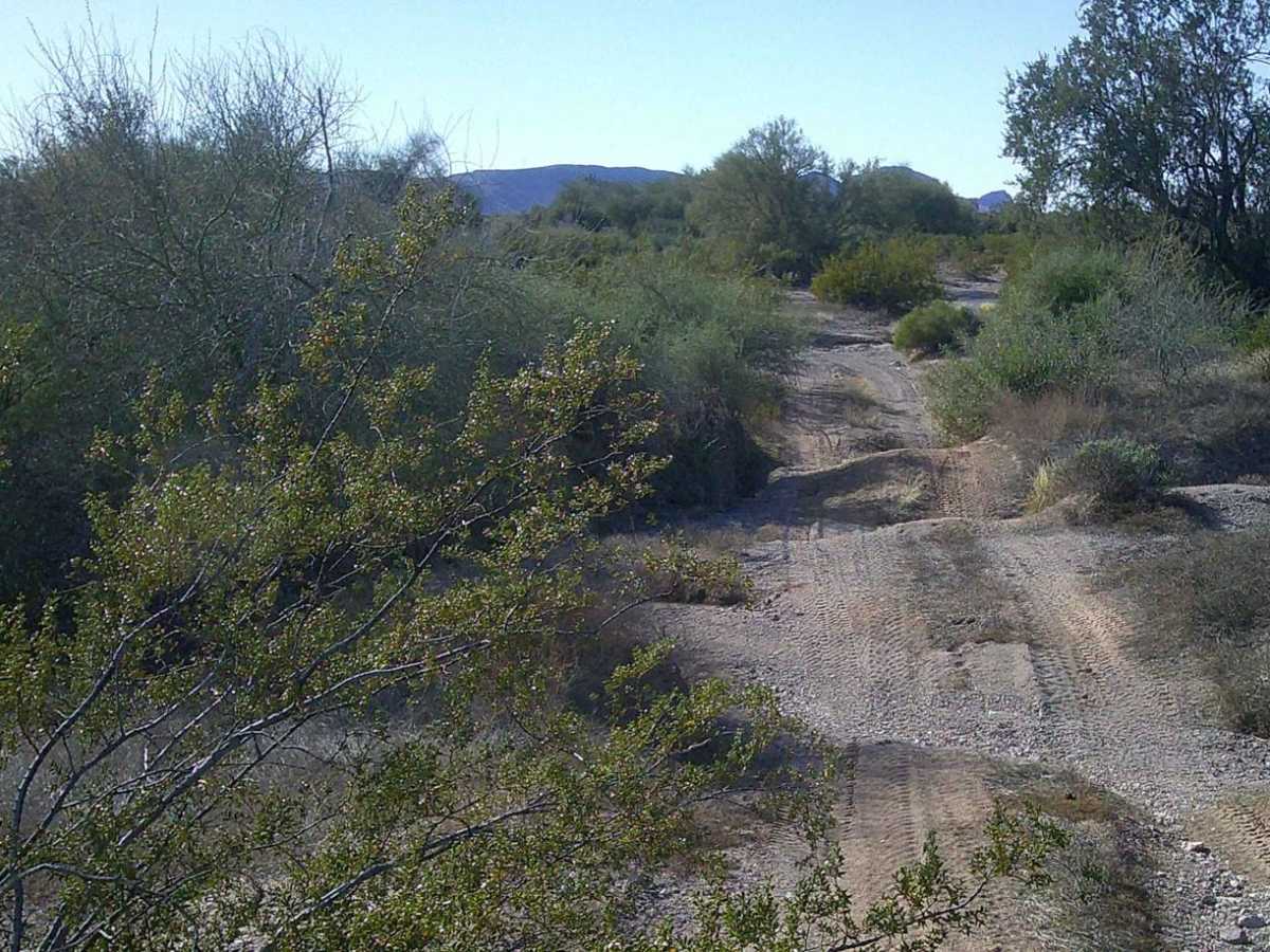 Road 8230 trail photo