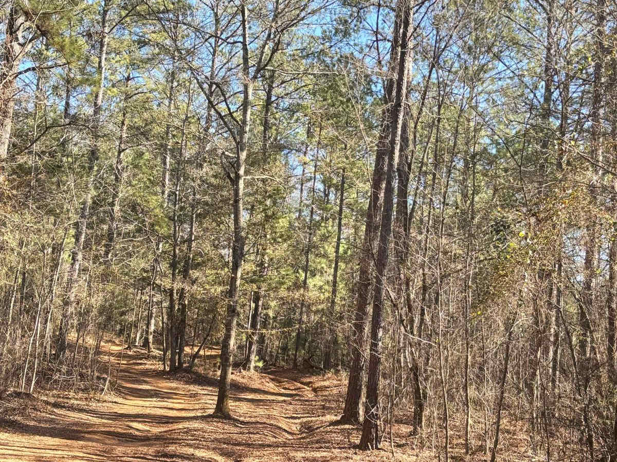 49 trail photo