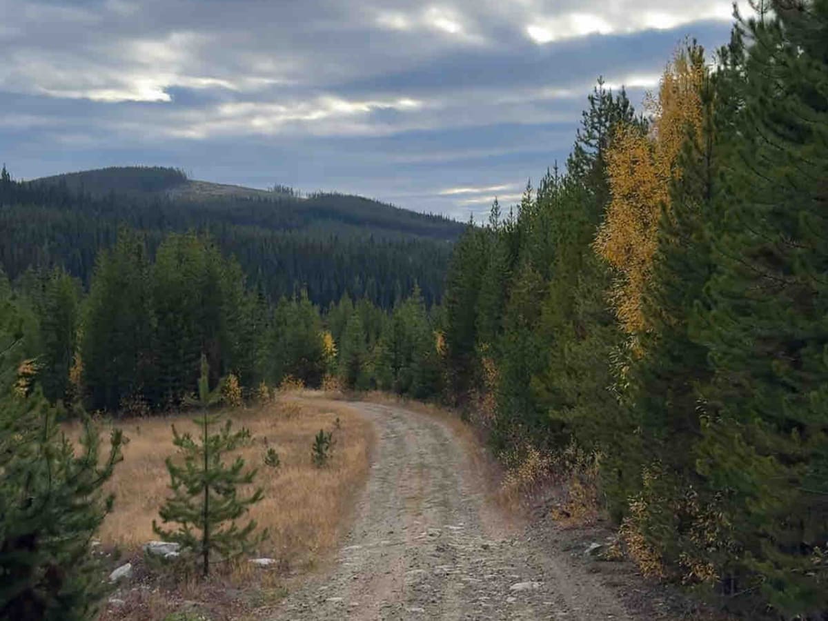 Chute-Meadow Connector photo 2