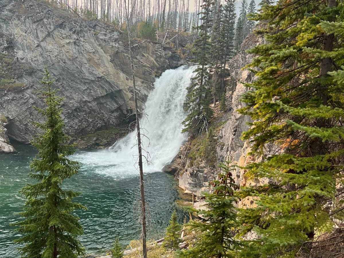 Red Deer Falls trail photo