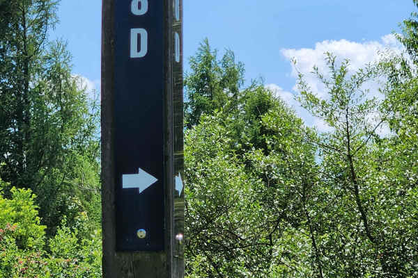 Trail 8D - Rock Run Recreation Area