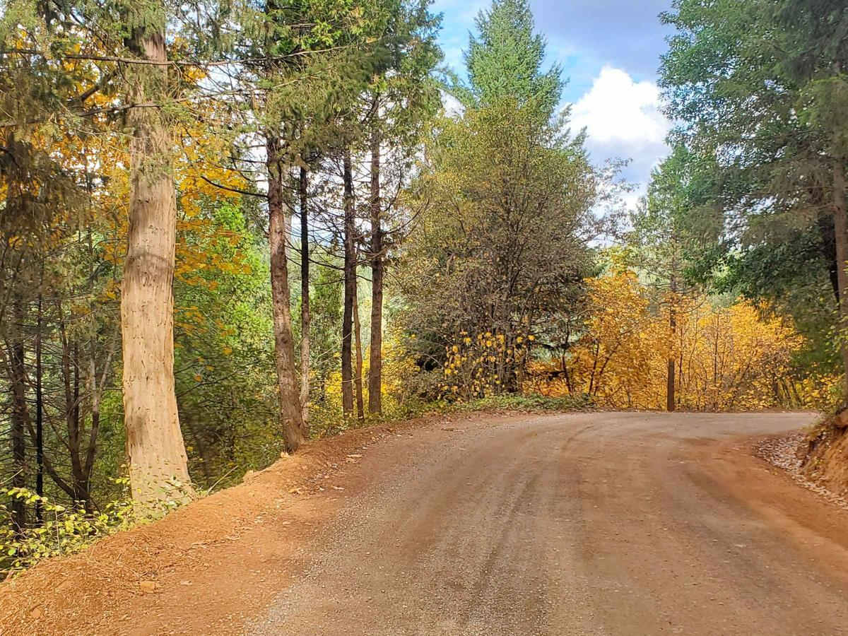 Finning Mill Road trail photo