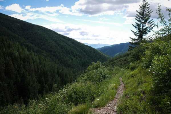 East Fork Big Creek