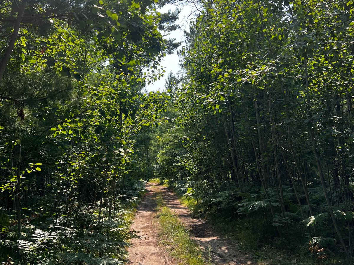 N 27 Trail trail photo