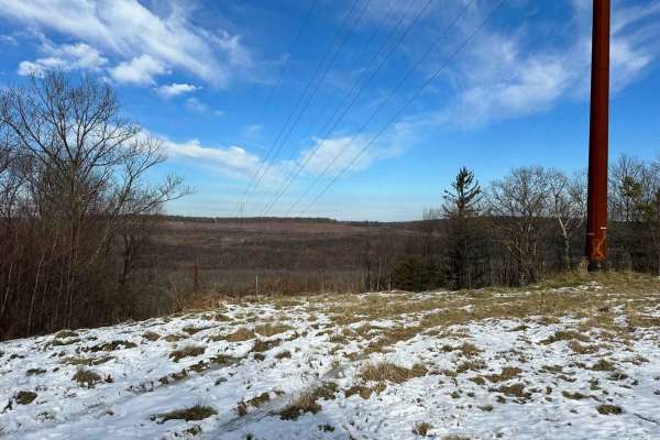Locust Gap 32