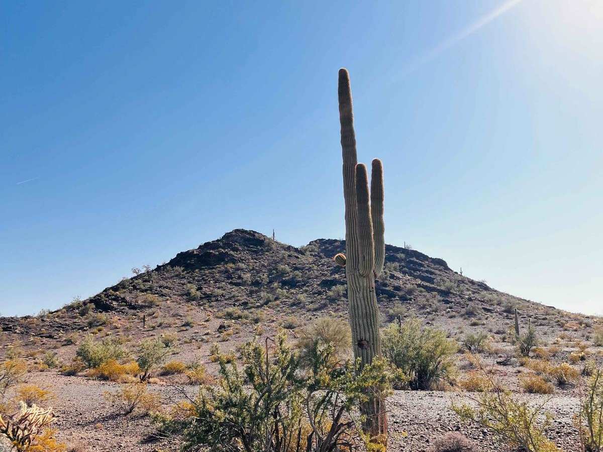 Mine Hunt Loop photo 4