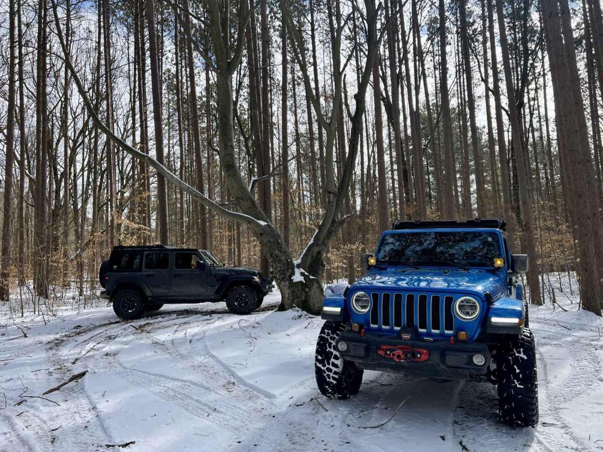 NFS 9602 (Brush Lake Trail) photo 6