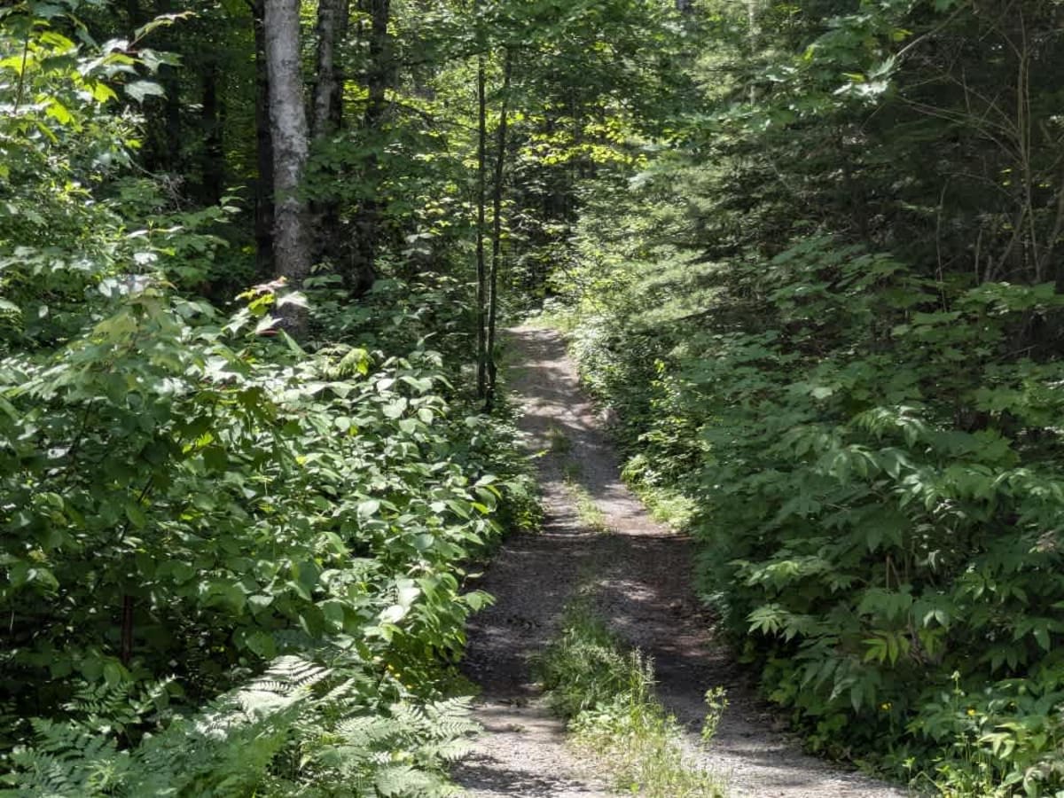 Hulum Road photo 4