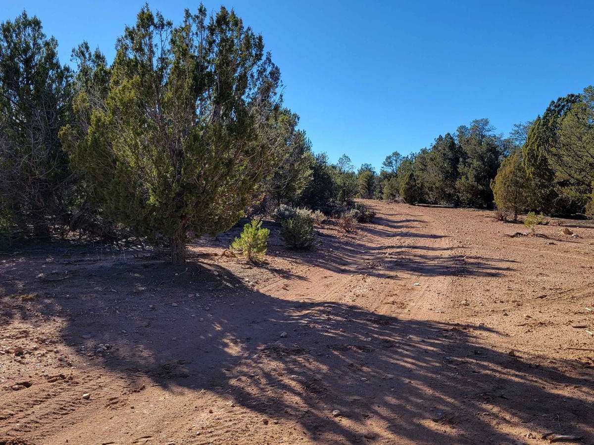 BLM 1648 trail photo