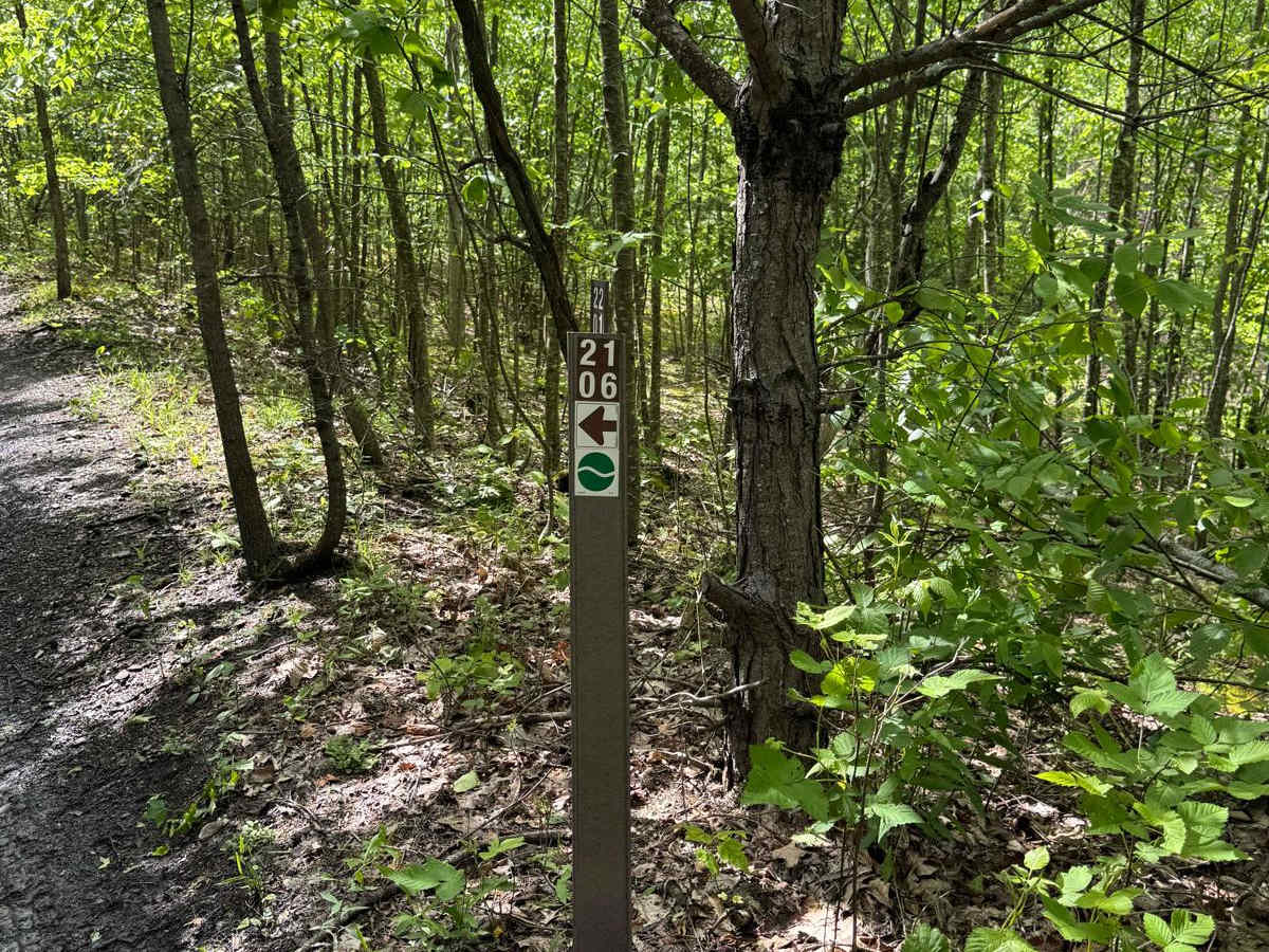 2106 Green photo 6