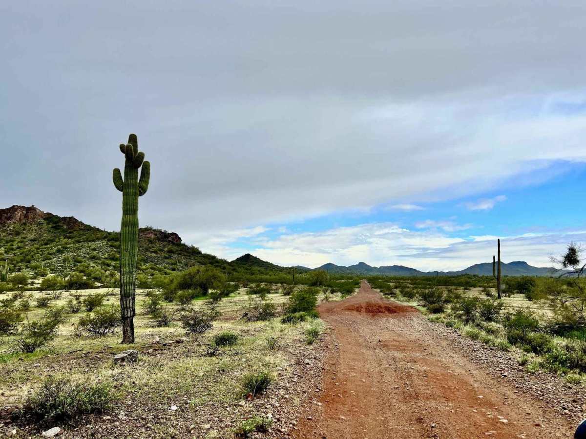 Blue Wash Mine trail photo