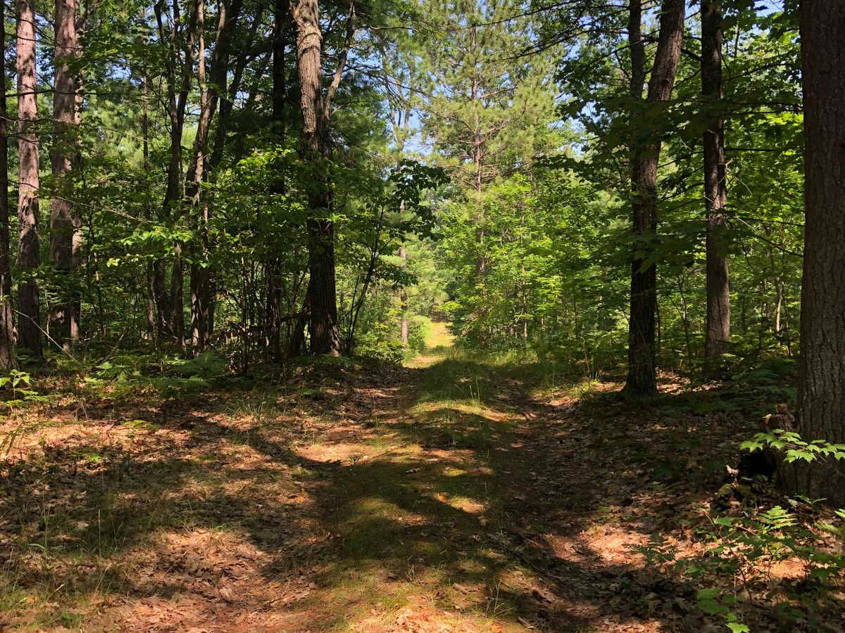 Badger Trail photo 5