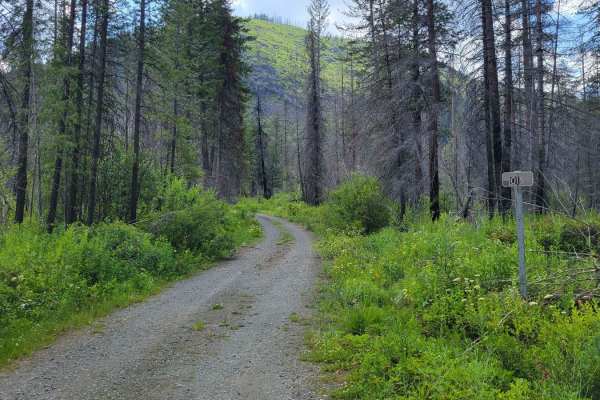Reynolds Creek Trailhead - 015