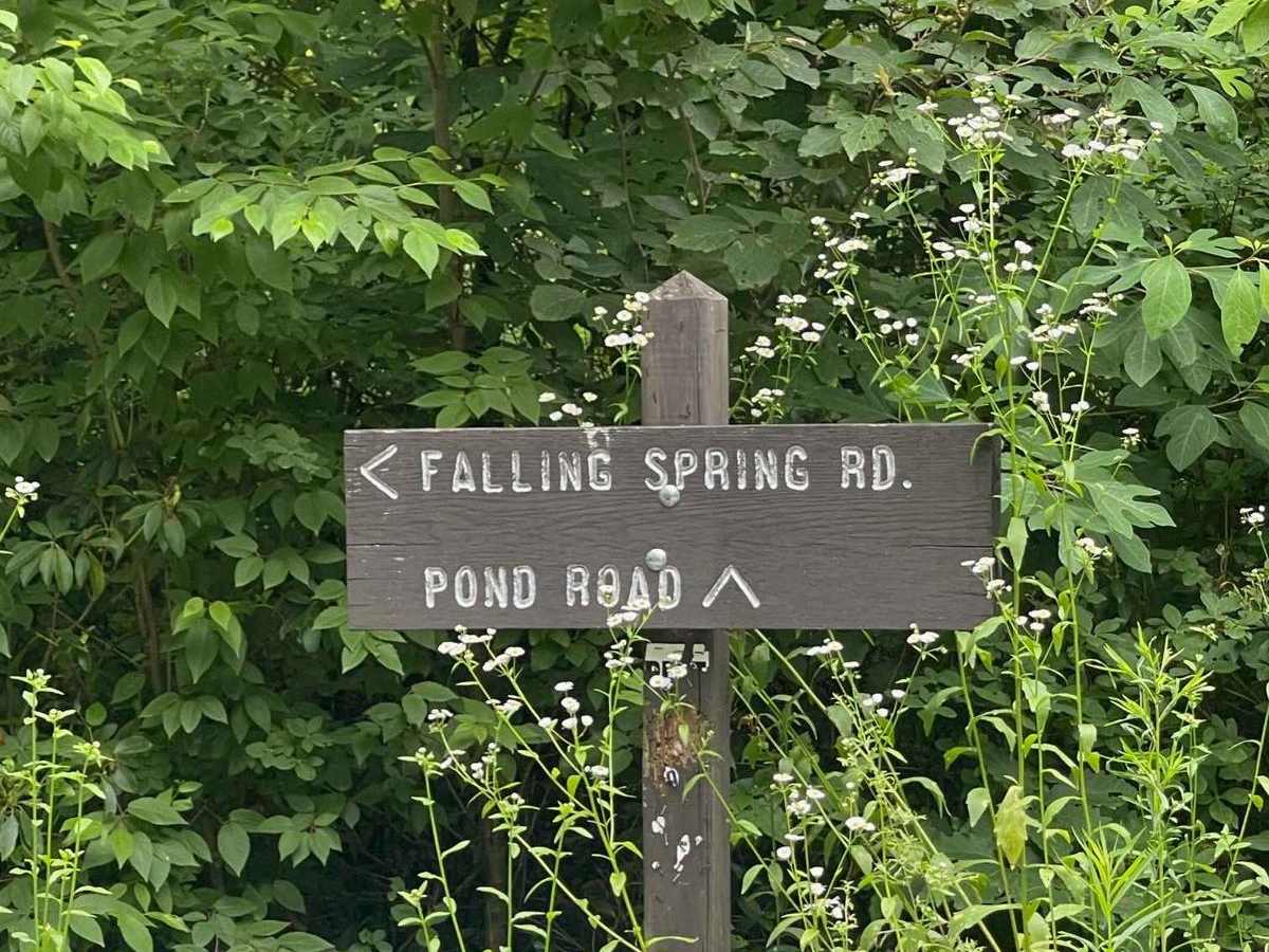 Pond Road trail photo