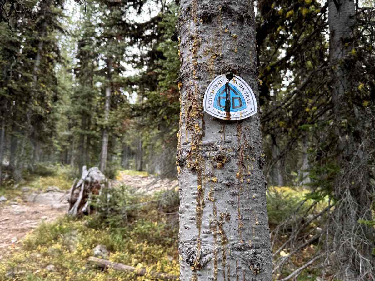 Rock Creek/Leadville photo 4