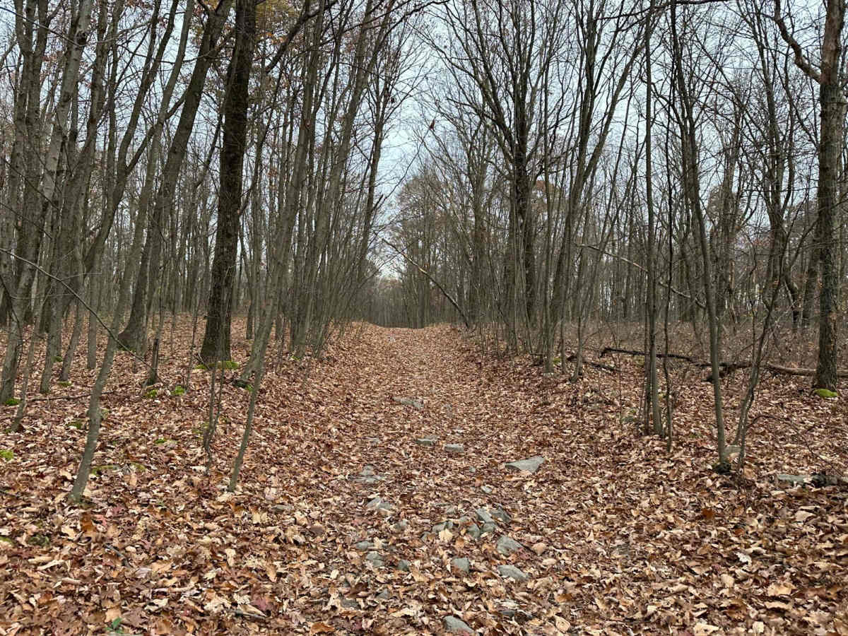 27 trail photo