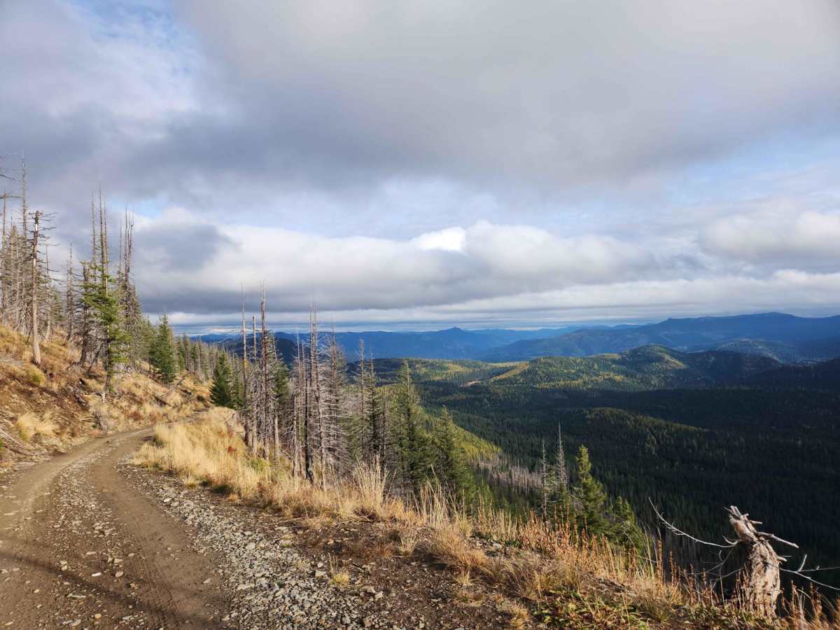 Homestead Creek trail photo